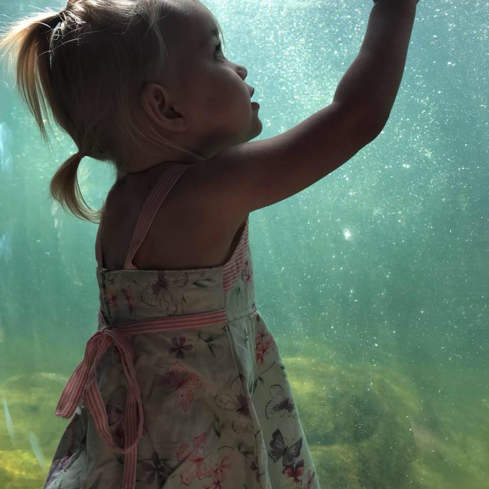 Meet your Posher, Daryl